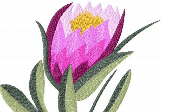 Protea Goblet Embroidery Design